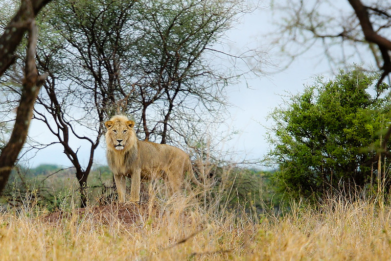 The best time to visit africa